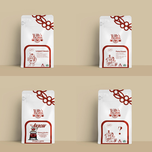 CUATRO TASTING BEAN BUNDLE | MEDIUM ROAST