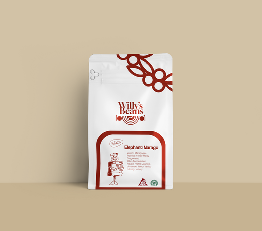 ELEPHANT MARAGOGIPE | LIGHT FILTER ROAST